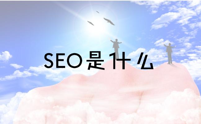 seo网络推广是什么意思 (网站seo推广是干嘛)