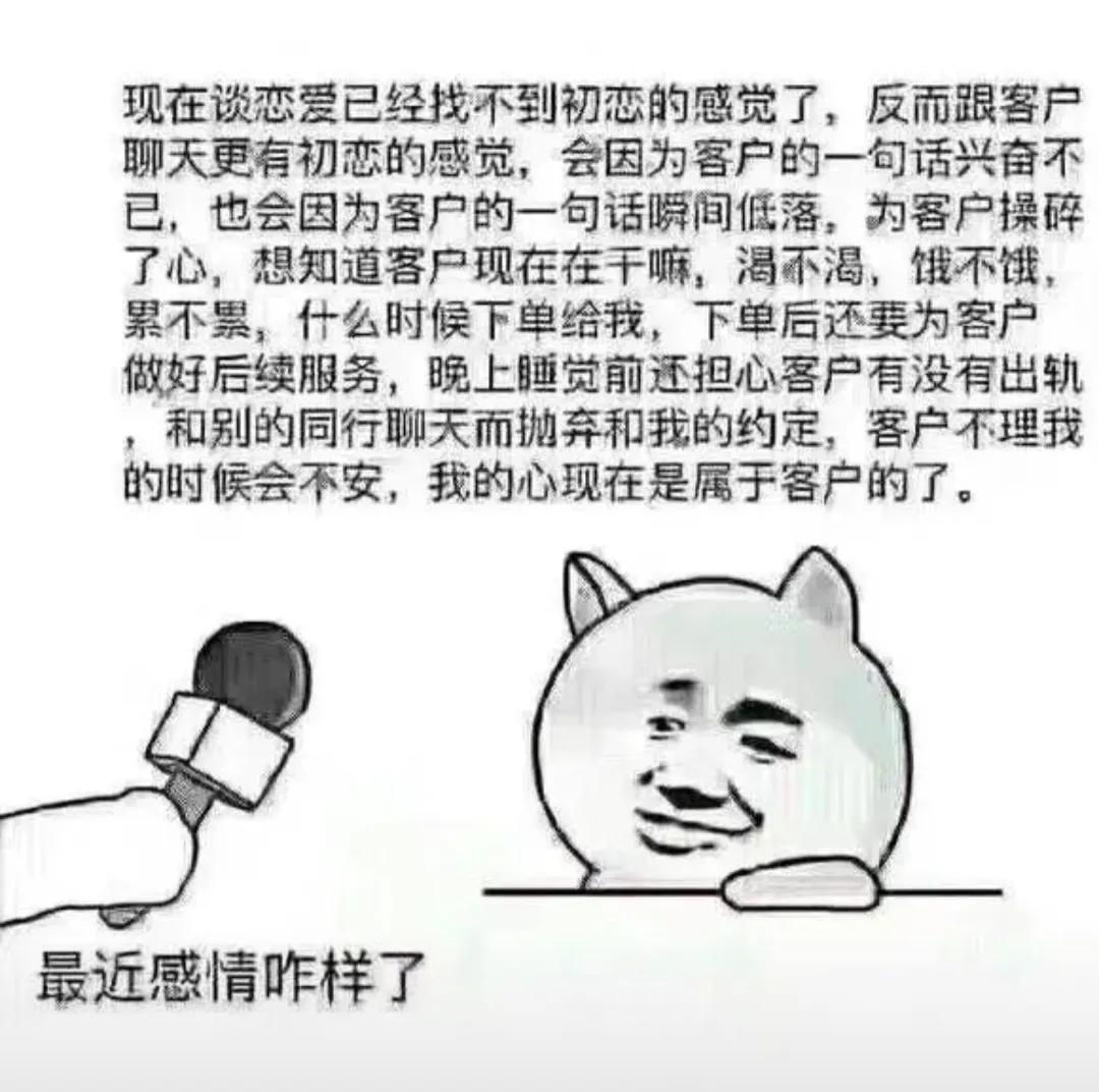 为什么要干销售 (为什么要干销售呢)