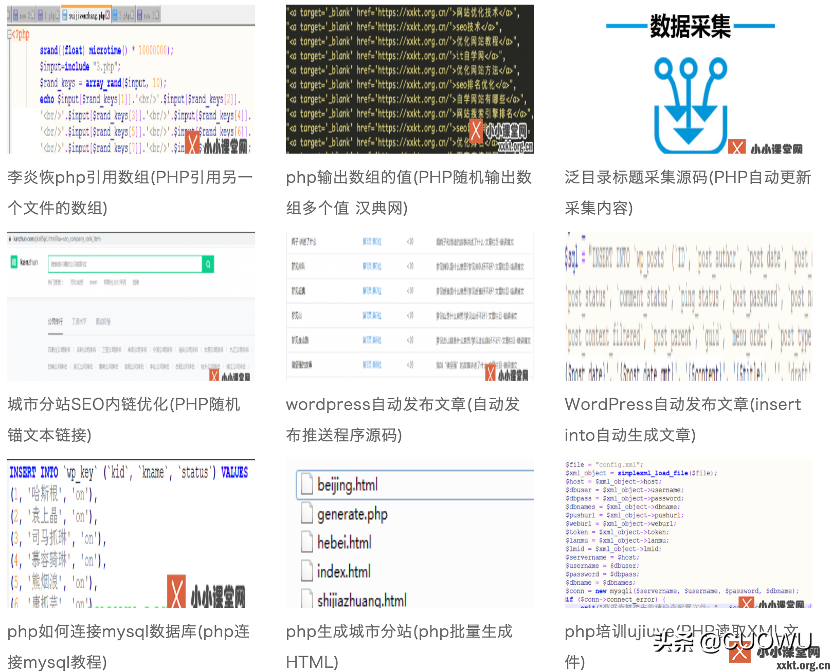 seo域名(SEO域名注册实训总结)