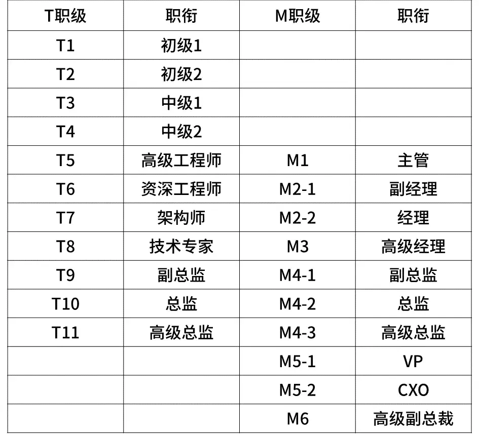 seo是什么职级(美团L6是什么职级)