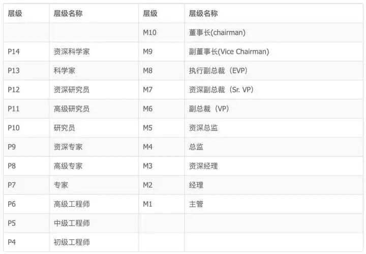 seo是什么职级(美团L6是什么职级)