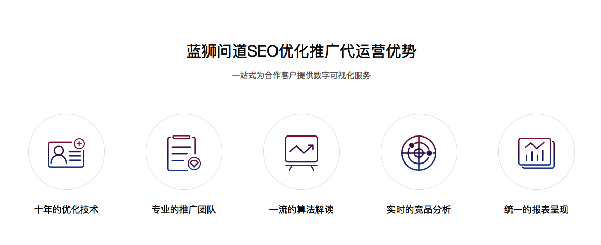 seo优化网络公司 (网站优化推广seo公司)