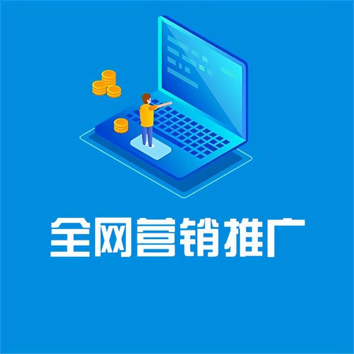 seo推广 (seo网站推广怎么做)