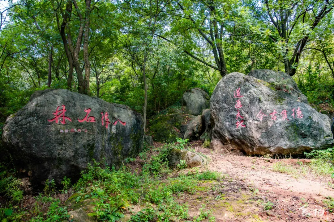 襄樊seo (襄樊森林公园)