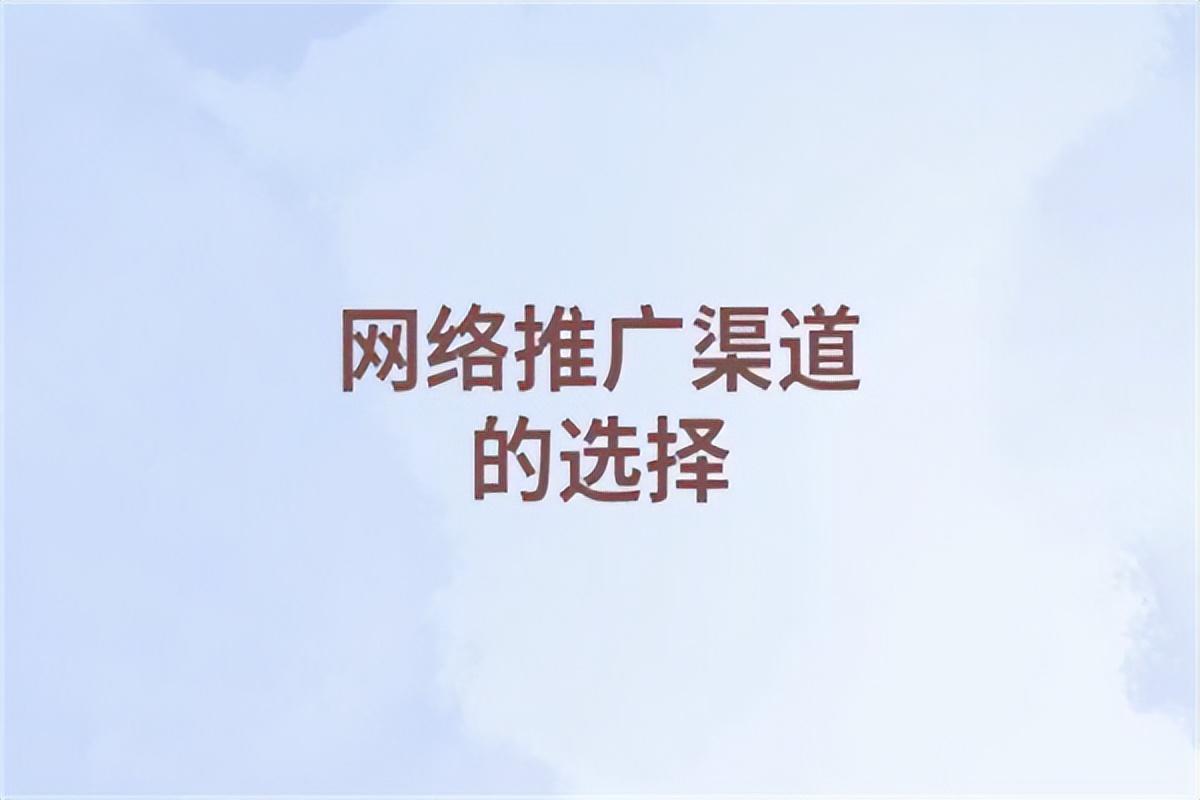 怎么推广好 (怎么推广效果好)